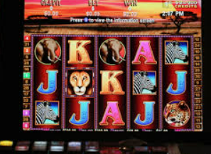 新kiyaun网页版登录免费版