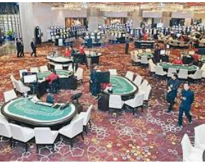 新kiyaun网页版登录免费版